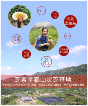 芝甫破壁灵芝孢子粉效果怎么样？和芝素堂相比呢？