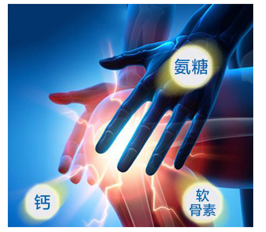 软骨素有什么作用? 软骨素有什么作用?