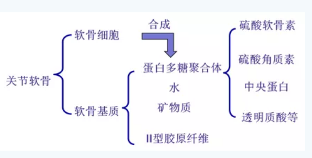 硫酸软骨素对骨关节的价值,你知道吗? 硫酸软骨素对骨关节的价值,你知道吗?
