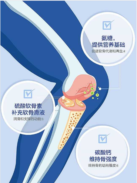 氨糖软骨素和钙片的区别，哪个更有利于关节健康