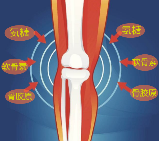 Move free有用吗?保护关节还需要什么营养 Move free有用吗?保护关节还需要什么营养