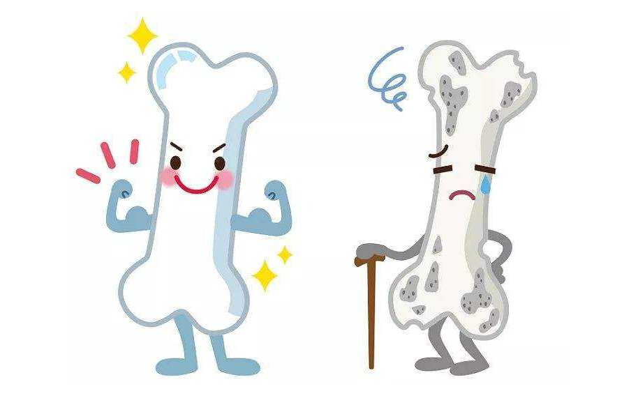 氨糖软骨素能一直吃吗?会不会有副作用 氨糖软骨素能一直吃吗?会不会有副作用