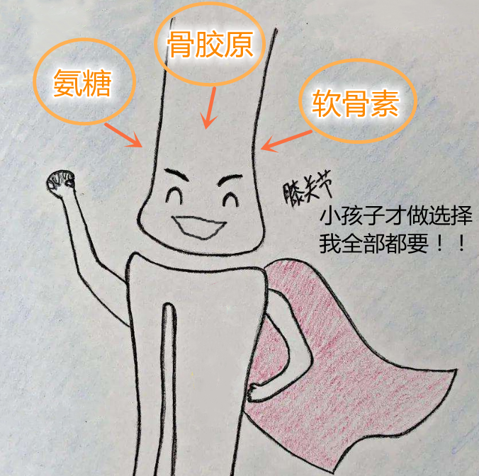 退行性关节炎吃氨糖好还是软骨素好,你吃对了吗 退行性关节炎吃氨糖好还是软骨素好,你吃对了吗