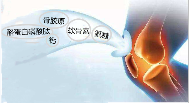 氨糖软骨素多少钱一盒,哪款性价比更高 氨糖软骨素多少钱一盒,哪款性价比更高
