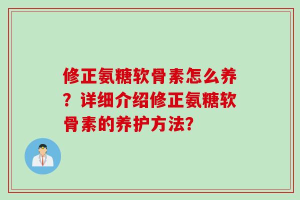 修正氨糖软骨素怎么养？详细介绍修正氨糖软骨素的养护方法？