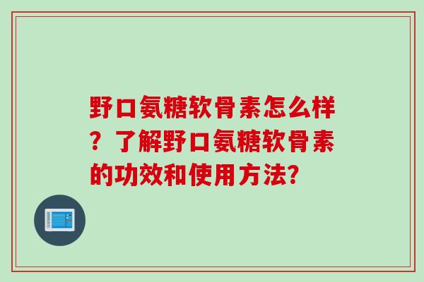 野口氨糖软骨素怎么样？了解野口氨糖软骨素的功效和使用方法？