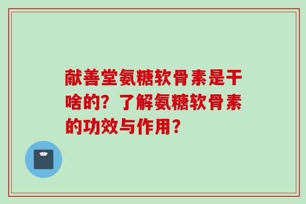 献善堂氨糖软骨素是干啥的？了解氨糖软骨素的功效与作用？