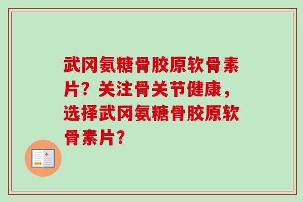 武冈氨糖骨胶原软骨素片？关注骨关节健康，选择武冈氨糖骨胶原软骨素片？