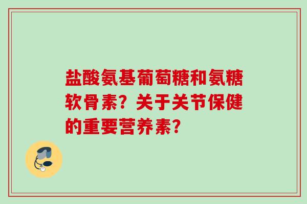 盐酸氨基葡萄糖和氨糖软骨素？关于关节保健的重要营养素？