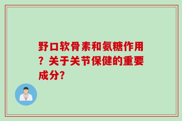 野口软骨素和氨糖作用？关于关节保健的重要成分？