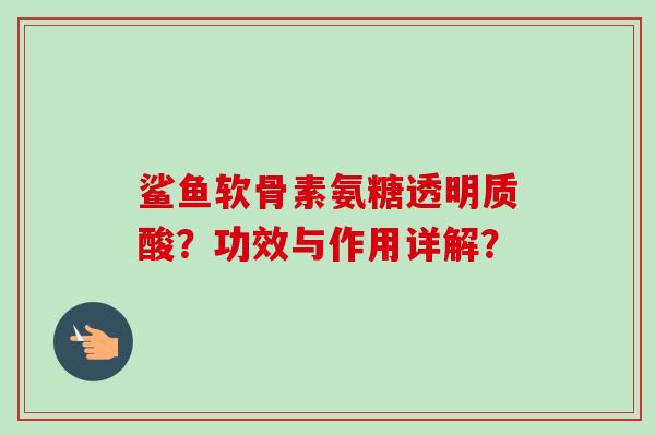 鲨鱼软骨素氨糖透明质酸？功效与作用详解？