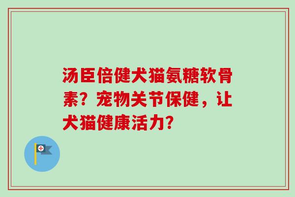 汤臣倍健犬猫氨糖软骨素？宠物关节保健，让犬猫健康活力？