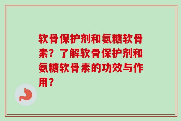 软骨保护剂和氨糖软骨素？了解软骨保护剂和氨糖软骨素的功效与作用？