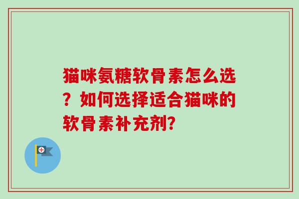 猫咪氨糖软骨素怎么选？如何选择适合猫咪的软骨素补充剂？