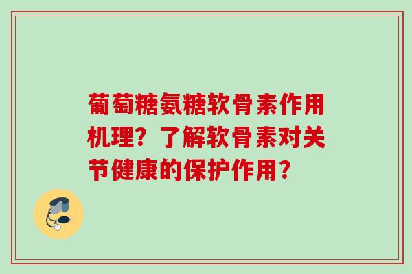 葡萄糖氨糖软骨素作用机理？了解软骨素对关节健康的保护作用？