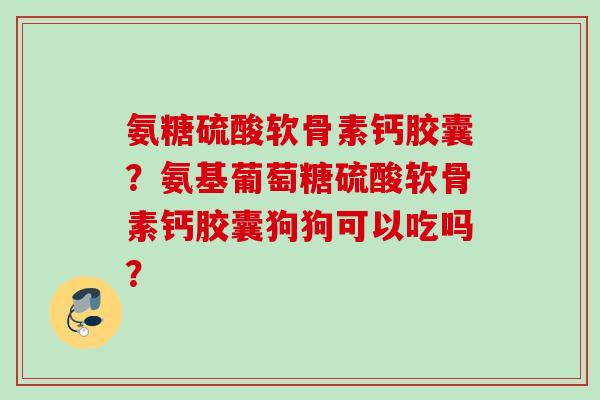 氨糖硫酸软骨素钙胶囊？氨基葡萄糖硫酸软骨素钙胶囊狗狗可以吃吗？