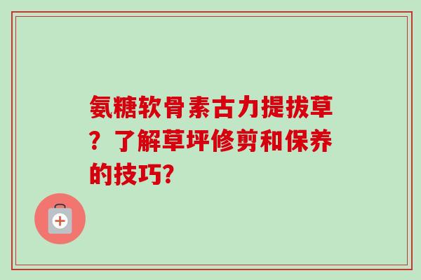 氨糖软骨素古力提拔草？了解草坪修剪和保养的技巧？