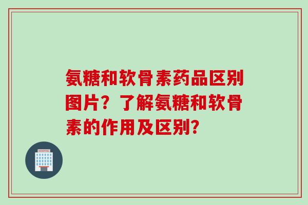氨糖和软骨素药品区别图片？了解氨糖和软骨素的作用及区别？