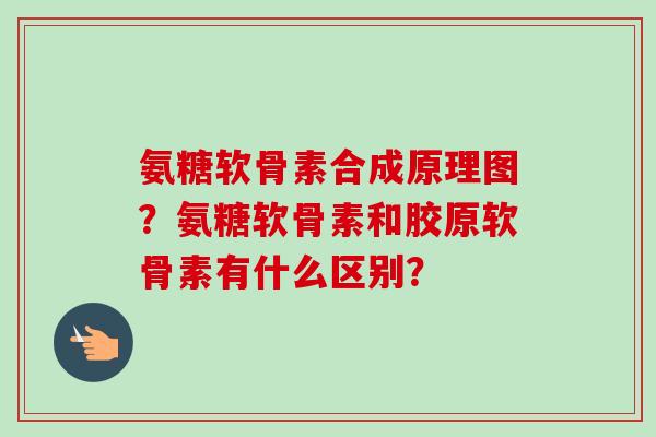 氨糖软骨素合成原理图？氨糖软骨素和胶原软骨素有什么区别？