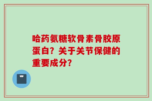 哈药氨糖软骨素骨胶原蛋白？关于关节保健的重要成分？