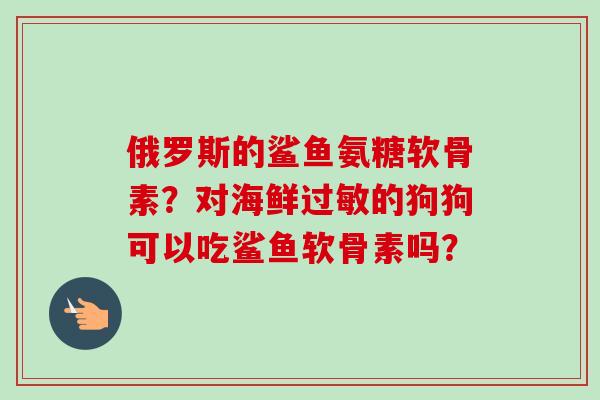 俄罗斯的鲨鱼氨糖软骨素?对海鲜的狗狗可以吃鲨鱼软骨素吗? 俄罗斯的鲨鱼氨糖软骨素?对海鲜的狗狗可以吃鲨鱼软骨素吗?