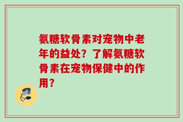 氨糖软骨素对宠物中老年的益处？了解氨糖软骨素在宠物保健中的作用？
