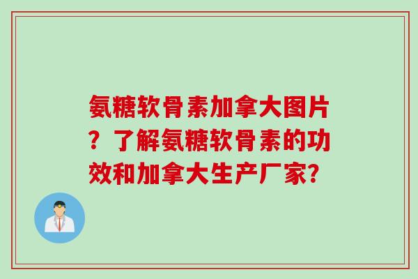 氨糖软骨素加拿大图片？了解氨糖软骨素的功效和加拿大生产厂家？