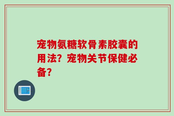 宠物氨糖软骨素胶囊的用法？宠物关节保健必备？