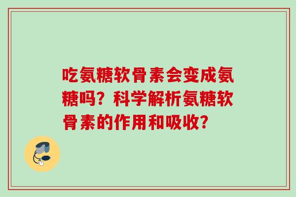 吃氨糖软骨素会变成氨糖吗？科学解析氨糖软骨素的作用和吸收？