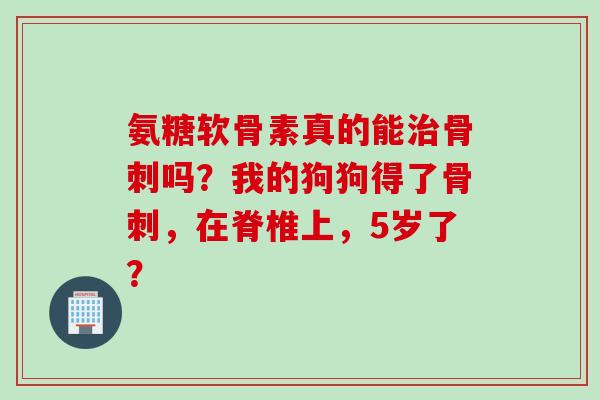 氨糖软骨素真的能吗?我的狗狗得了,在脊椎上,5岁了? 氨糖软骨素真的能吗?我的狗狗得了,在脊椎上,5岁了?