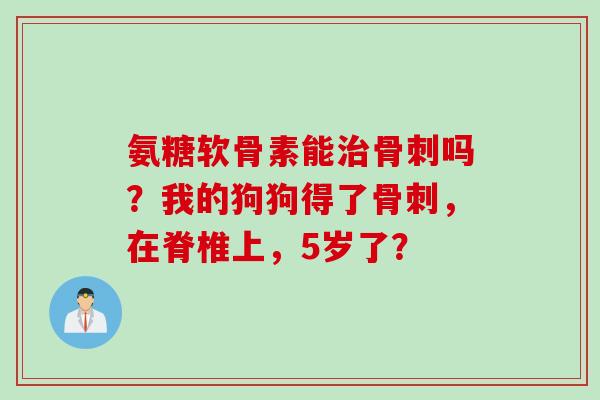 氨糖软骨素能治骨刺吗？我的狗狗得了骨刺，在脊椎上，5岁了？