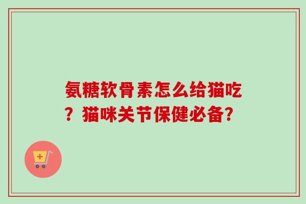 氨糖软骨素怎么给猫吃？猫咪关节保健必备？