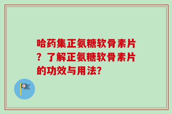 哈药集正氨糖软骨素片？了解正氨糖软骨素片的功效与用法？