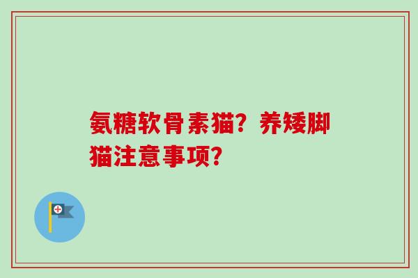氨糖软骨素猫？养矮脚猫注意事项？