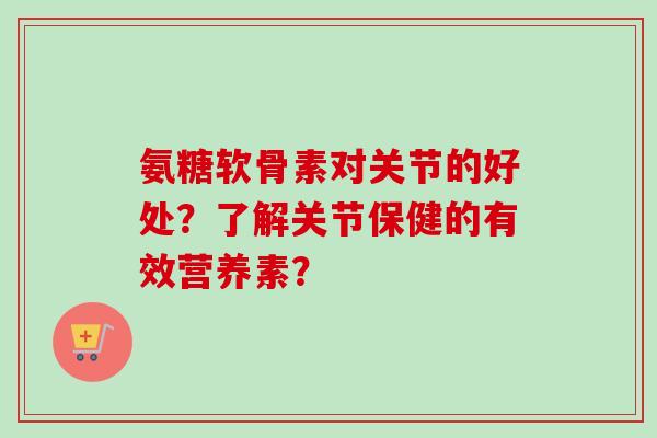 氨糖软骨素对关节的好处？了解关节保健的有效营养素？