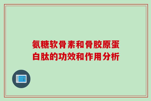 氨糖软骨素和骨胶原蛋白肽的功效和作用分析