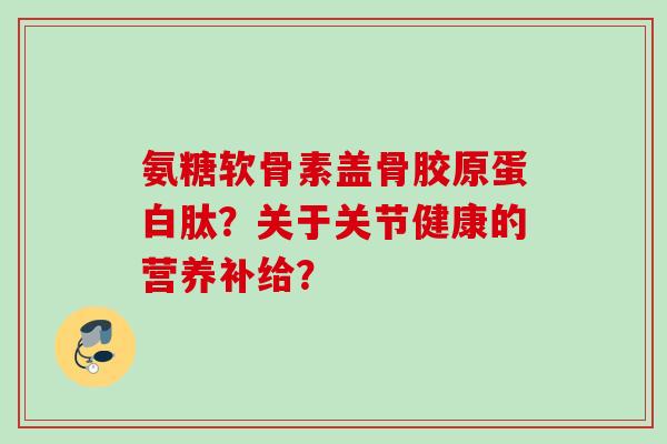 氨糖软骨素盖骨胶原蛋白肽？关于关节健康的营养补给？