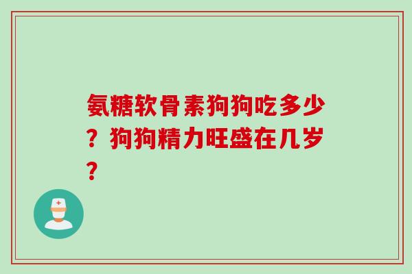 氨糖软骨素狗狗吃多少？狗狗精力旺盛在几岁？