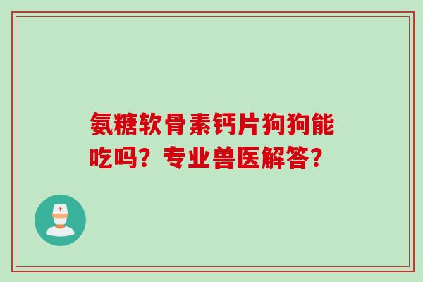 氨糖软骨素钙片狗狗能吃吗？专业兽医解答？