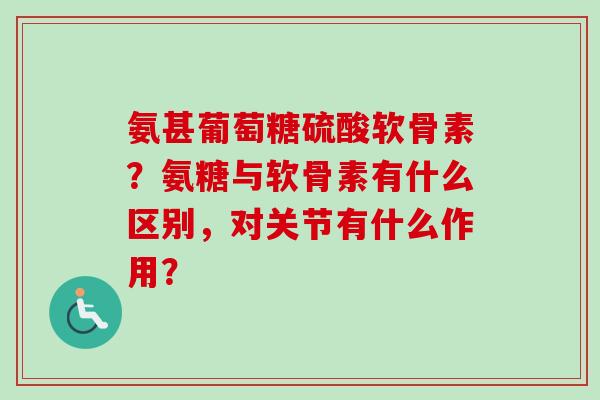 氨甚葡萄糖硫酸软骨素？氨糖与软骨素有什么区别，对关节有什么作用？