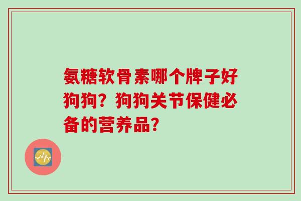 氨糖软骨素哪个牌子好狗狗？狗狗关节保健必备的营养品？