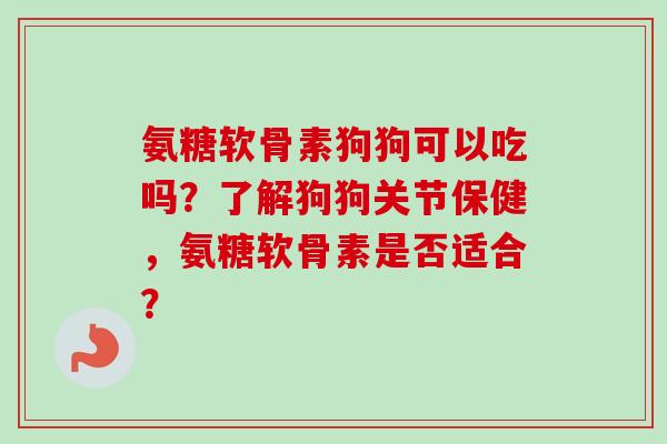 氨糖软骨素狗狗可以吃吗？了解狗狗关节保健，氨糖软骨素是否适合？