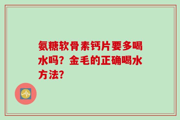 氨糖软骨素钙片要多喝水吗？金毛的正确喝水方法？