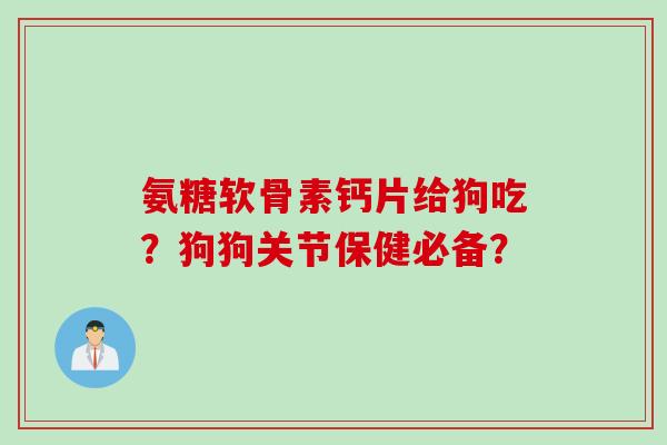 氨糖软骨素钙片给狗吃？狗狗关节保健必备？