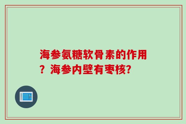 海参氨糖软骨素的作用？海参内壁有枣核？