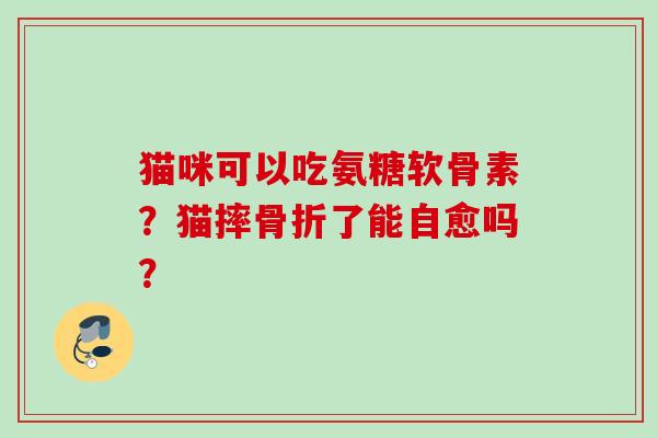 猫咪可以吃氨糖软骨素？猫摔骨折了能自愈吗？