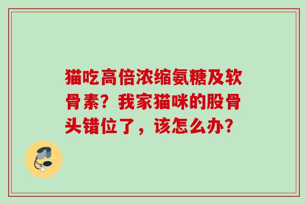 猫吃高倍浓缩氨糖及软骨素？我家猫咪的股骨头错位了，该怎么办？