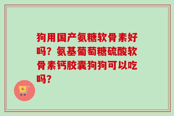 狗用国产氨糖软骨素好吗？氨基葡萄糖硫酸软骨素钙胶囊狗狗可以吃吗？