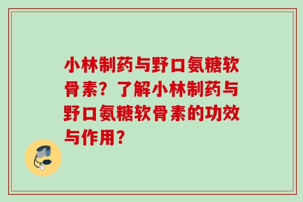 小林制药与野口氨糖软骨素？了解小林制药与野口氨糖软骨素的功效与作用？