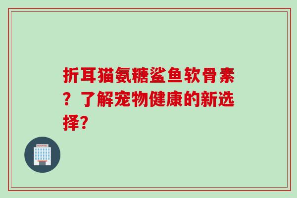 折耳猫氨糖鲨鱼软骨素？了解宠物健康的新选择？